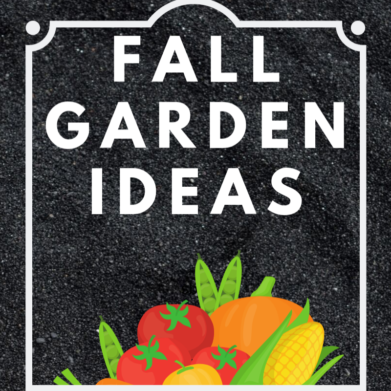 fall garden activities