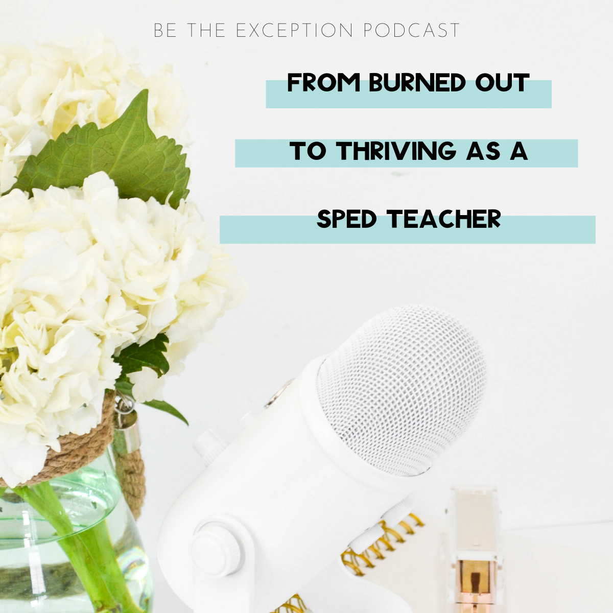 SPECIAL-EDUCATION TEACHER-BURNOUT