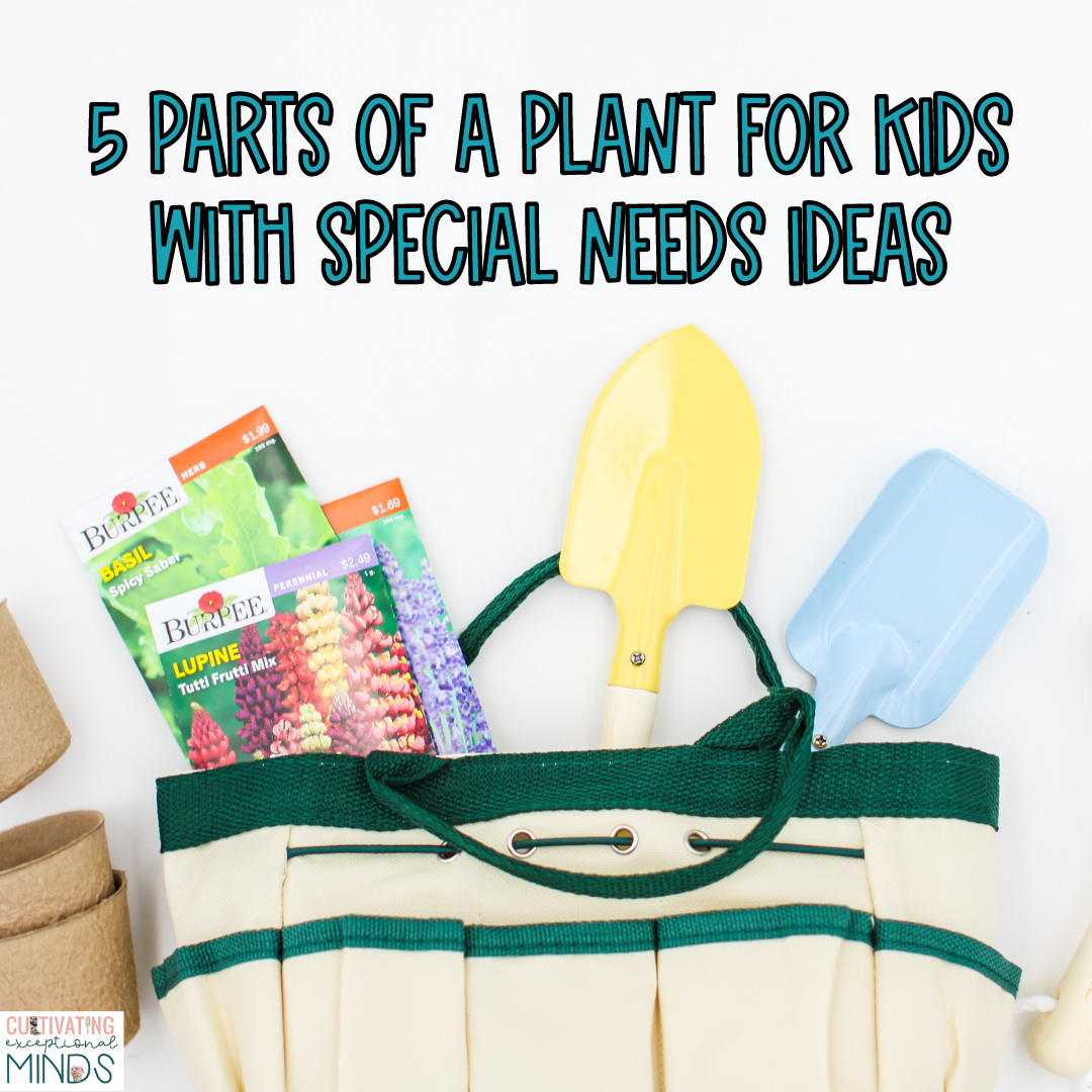 5 Parts of a Plant for Kids with Special Needs Ideas
