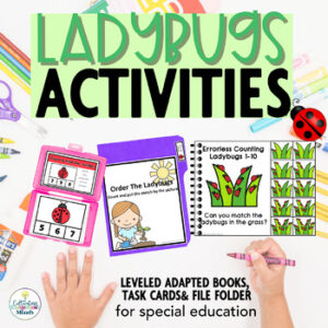 Ladybug Math Task boxes for special education | end of year activities