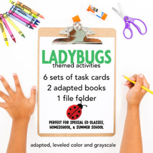 Ladybug Math Task boxes for special education | end of year activities - Image 2