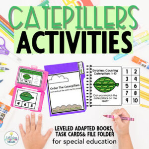 Ladybug Math Task boxes for special education | end of year activities